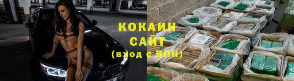 ГАЛЛЮЦИНОГЕННЫЕ ГРИБЫ Аркадак