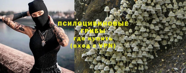 эйфоретик Арсеньев