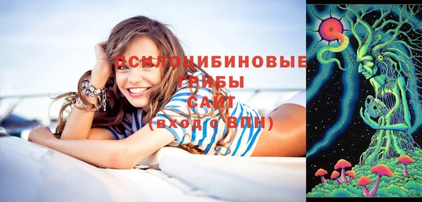 ГАЛЛЮЦИНОГЕННЫЕ ГРИБЫ Аркадак