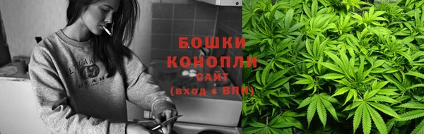 ГАЛЛЮЦИНОГЕННЫЕ ГРИБЫ Аркадак