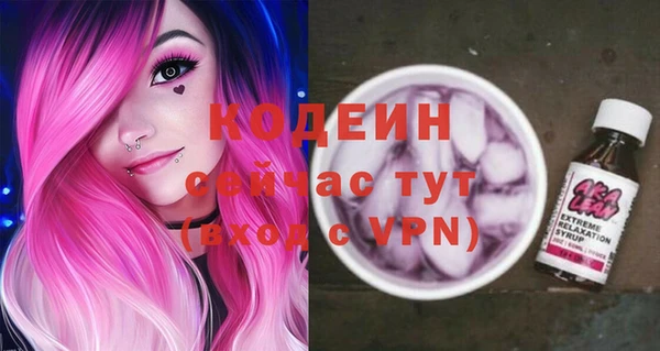 ГАЛЛЮЦИНОГЕННЫЕ ГРИБЫ Аркадак